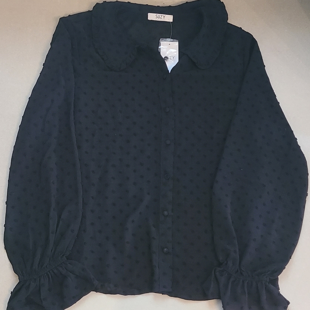 Textured Button-Front Ruffle Collar Blouse - Picture 9 of 10